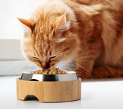 Cat Food Table