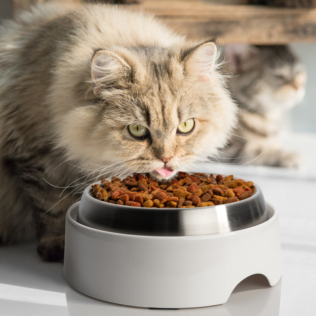 Cat Food Table