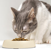 Food Dish